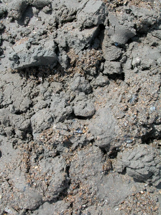 rocks and sand near one another on the ground