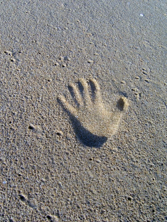 a po of someone's handprint on the sand