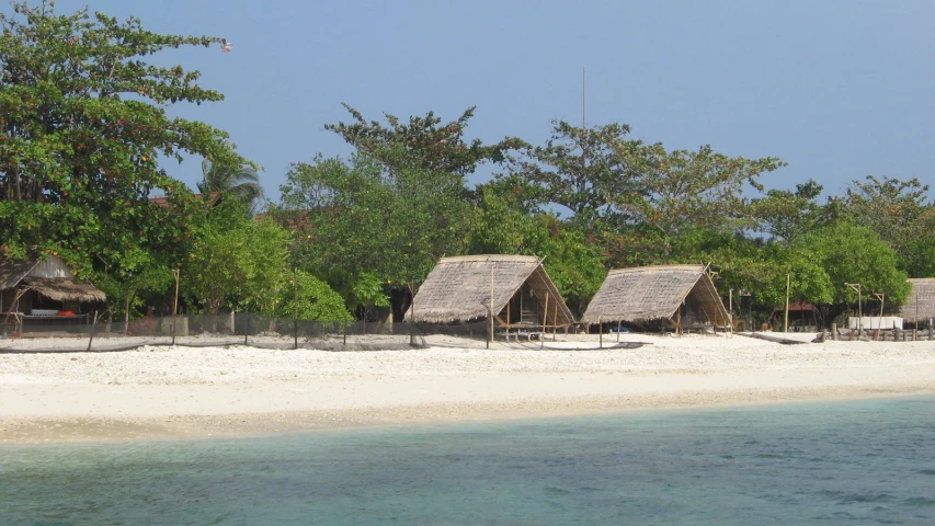 the beach with huts near trees on it
