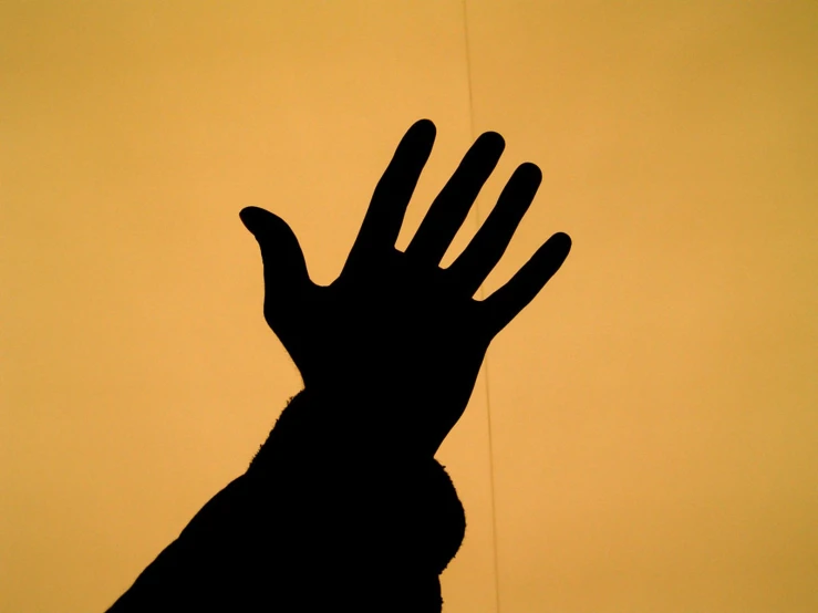the shadow of a hand that is in silhouette