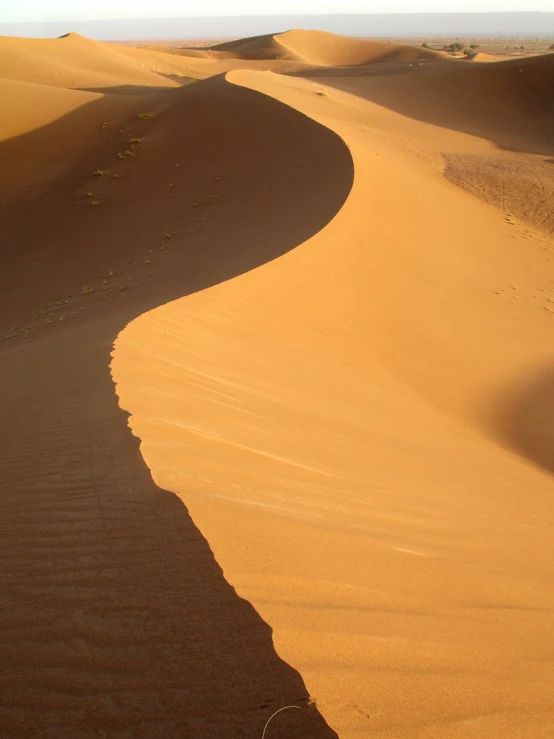 desert view of a group of sand dunes