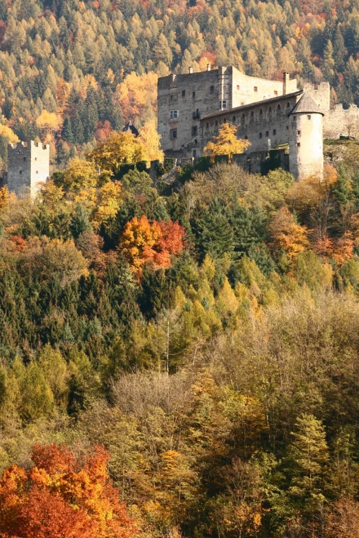 trees with orange and yellow foliage beside a train track