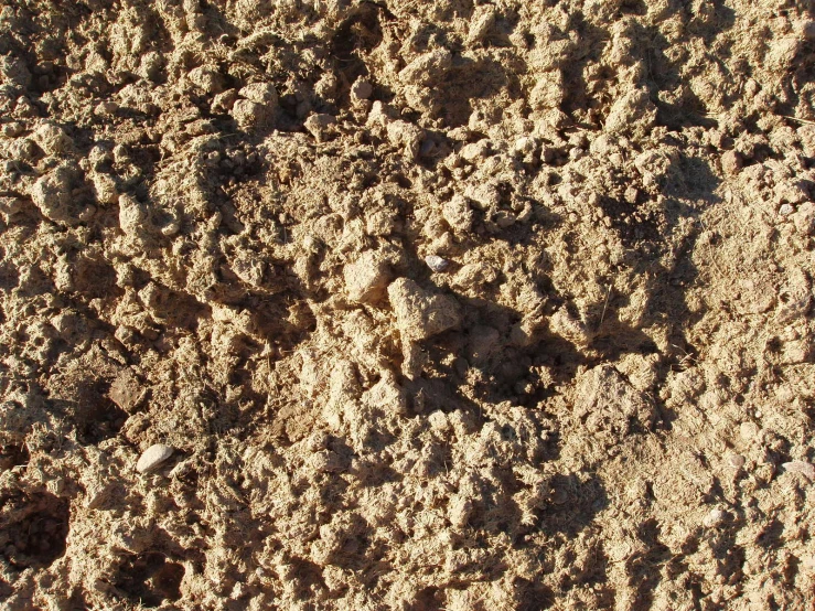 some rocks on top of a pile of dirt