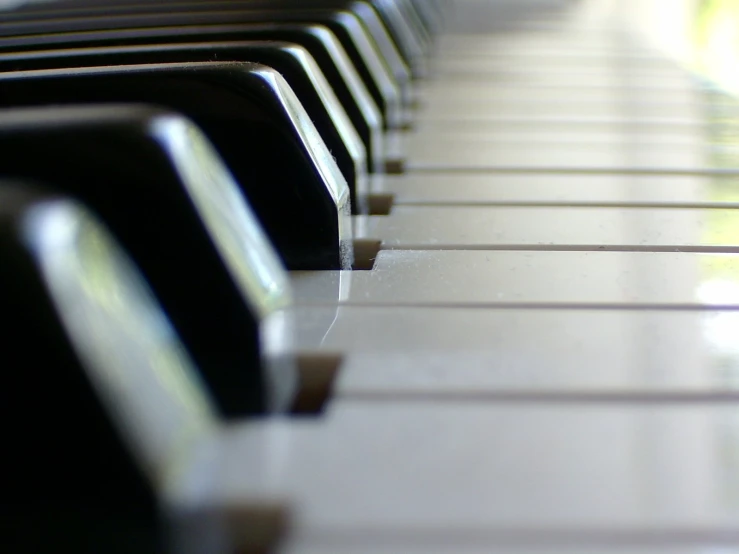 the keys of a piano are clearly visible