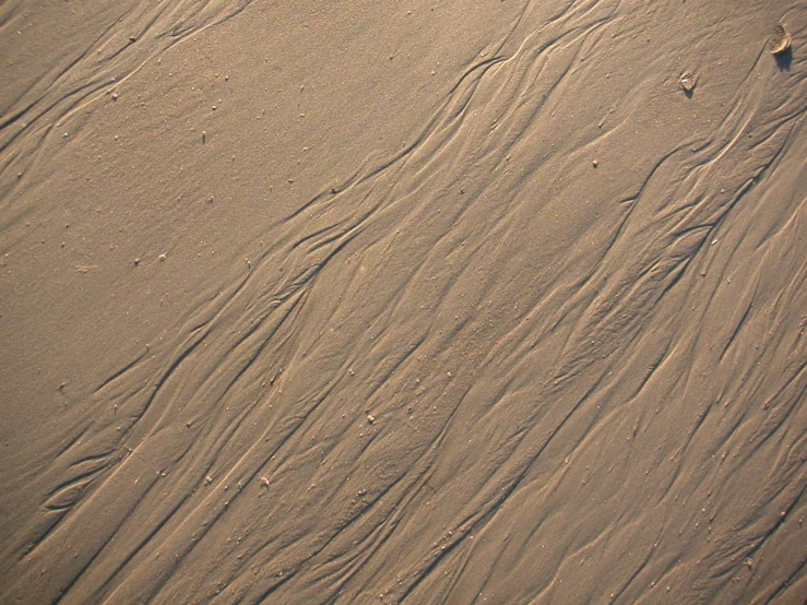 a person's footprints that are standing in the sand