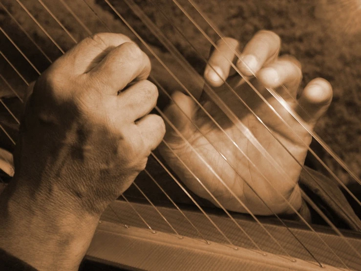 person playing on string instrument using both hands