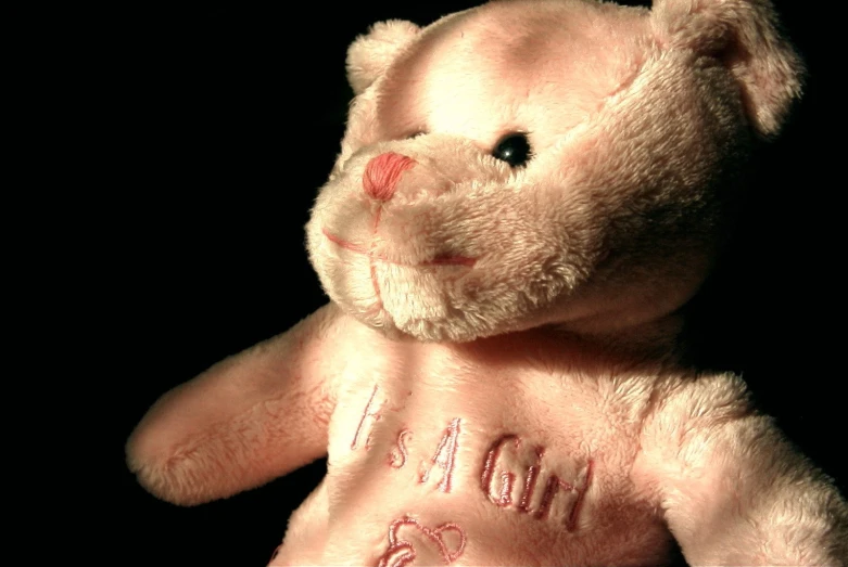 a teddy bear with some writing on it