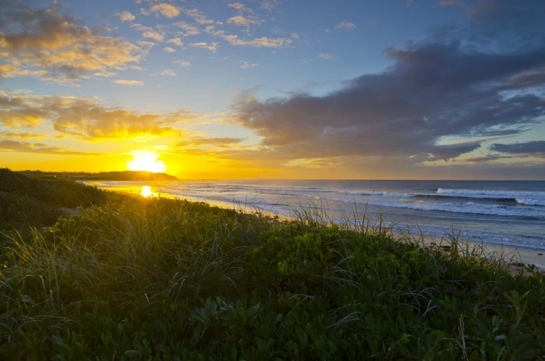 the sun rises over the beach and water