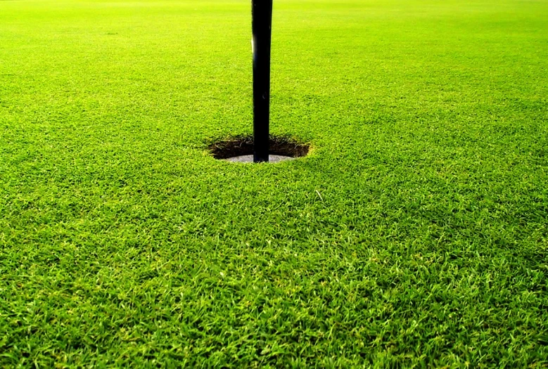 a fire hydrant in the middle of a field