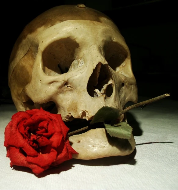 a dead, human head has been used as a vase for a flower