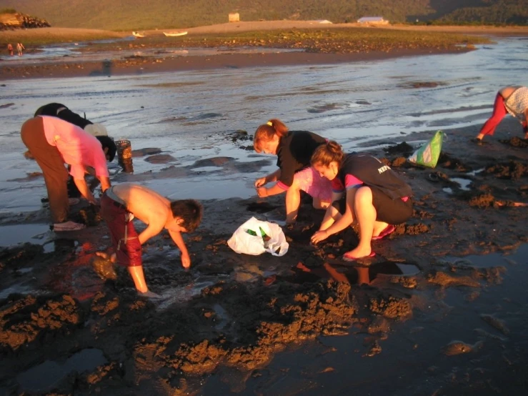 some girls standing on the shore by a body of water