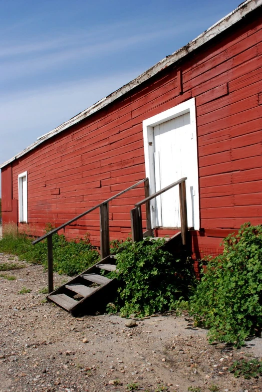 the door to the barn is open with some vegetation