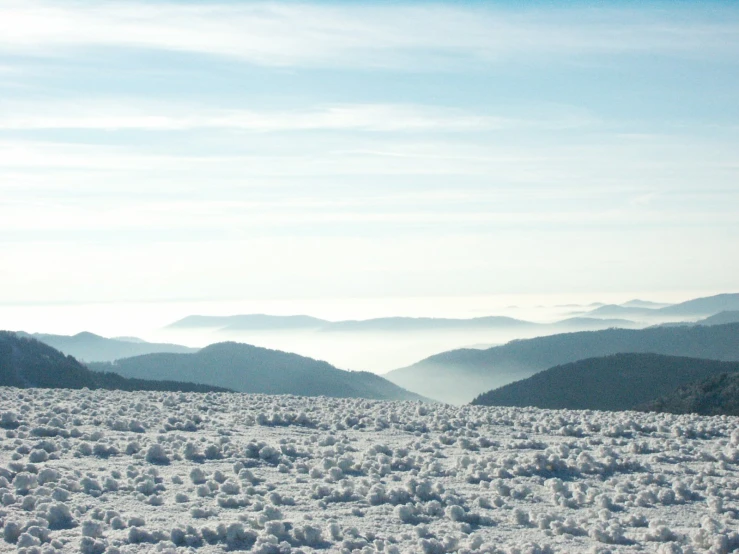 there are some snow in the grass and mountains