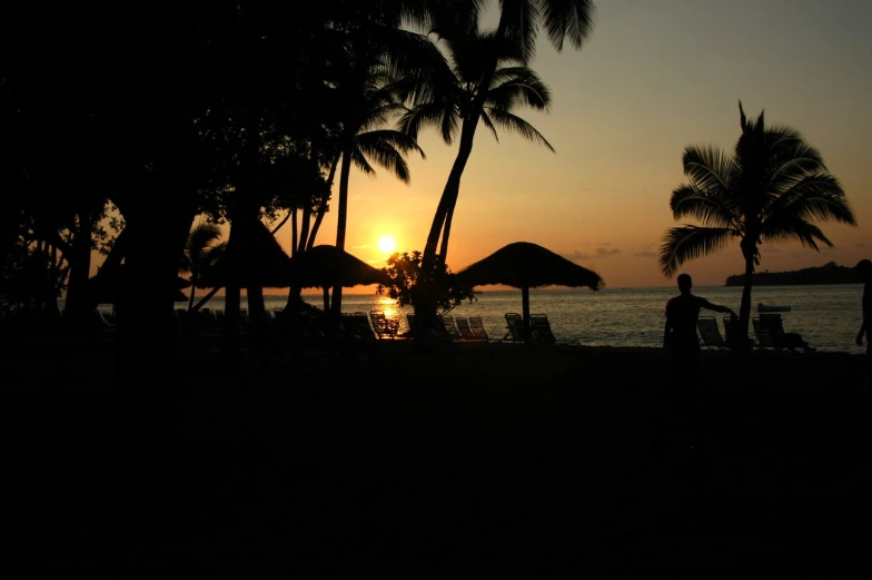 the sun sets on a tropical beach with palm trees