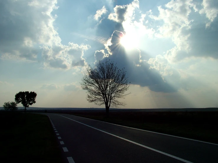 an empty country road with a single tree on the side of it