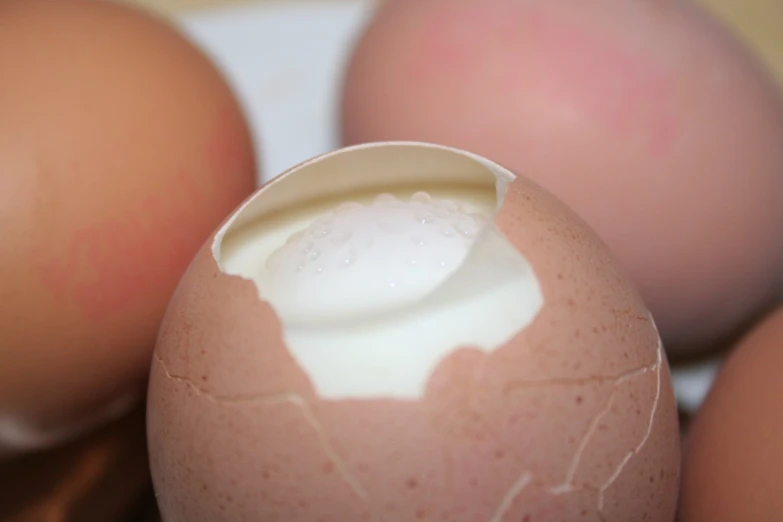 a group of eggs sitting next to each other