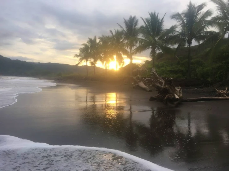 a view of some water at the beach with the sun shining behind palm trees