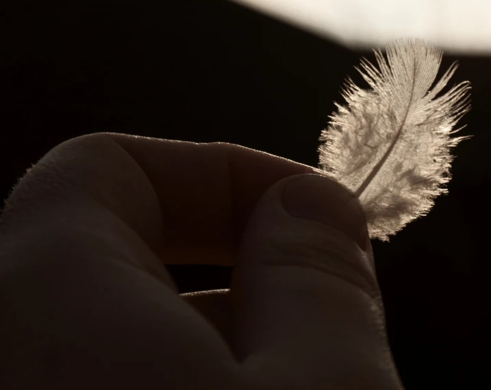 someone holding a single white feather up close to the camera