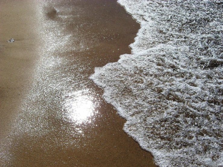 a bird that is standing in the sand