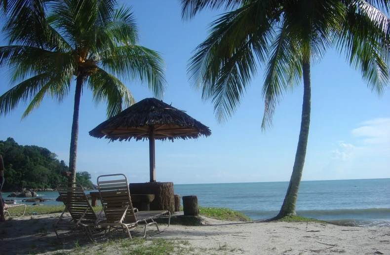 umbrella, chair, trashcan, and umbrella on the beach