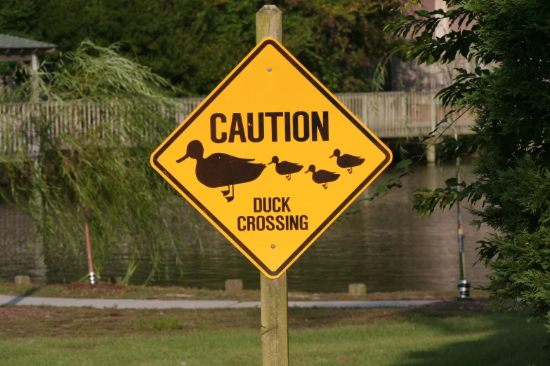 a sign warning of ducks crossing on a path