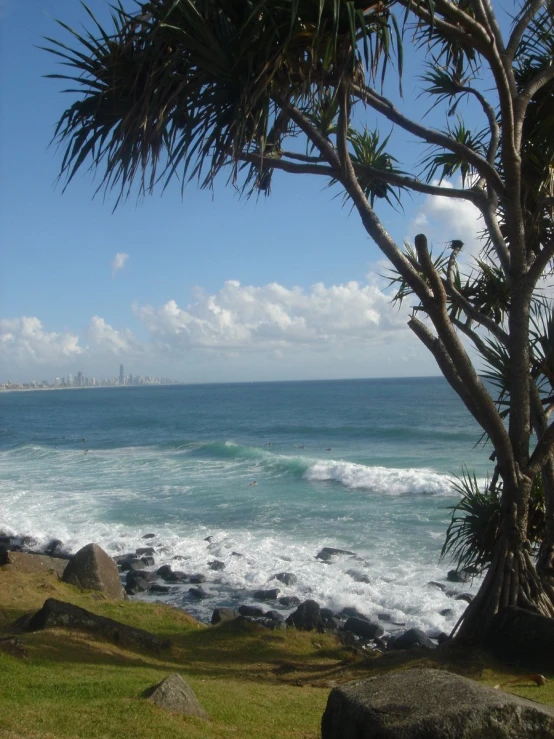 an ocean with water coming towards the shore and trees