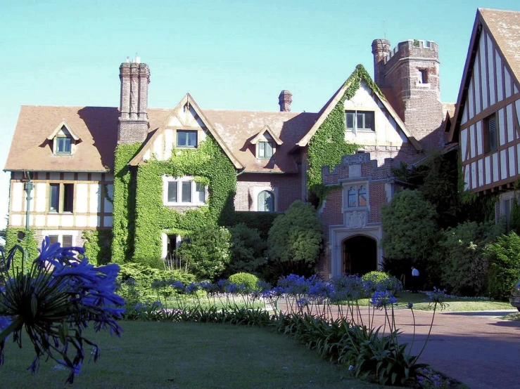 a house with many windows is covered in ivy