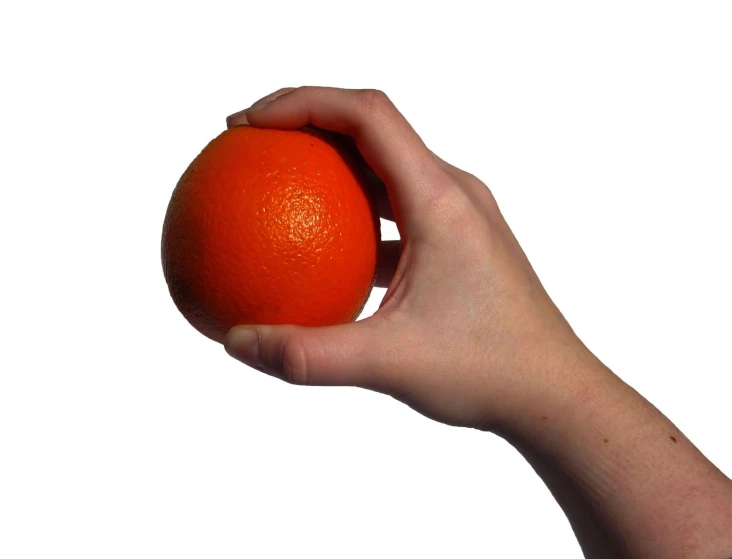 a person holds an orange in their left hand