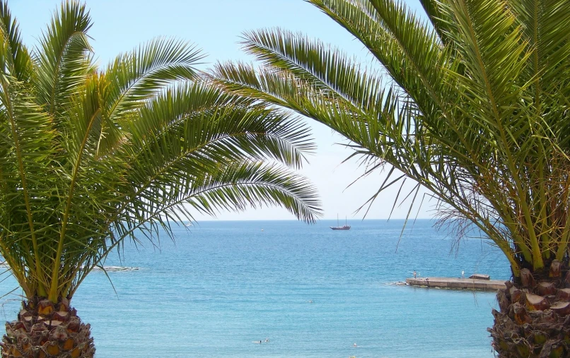 an ocean shore with palm trees and a boat