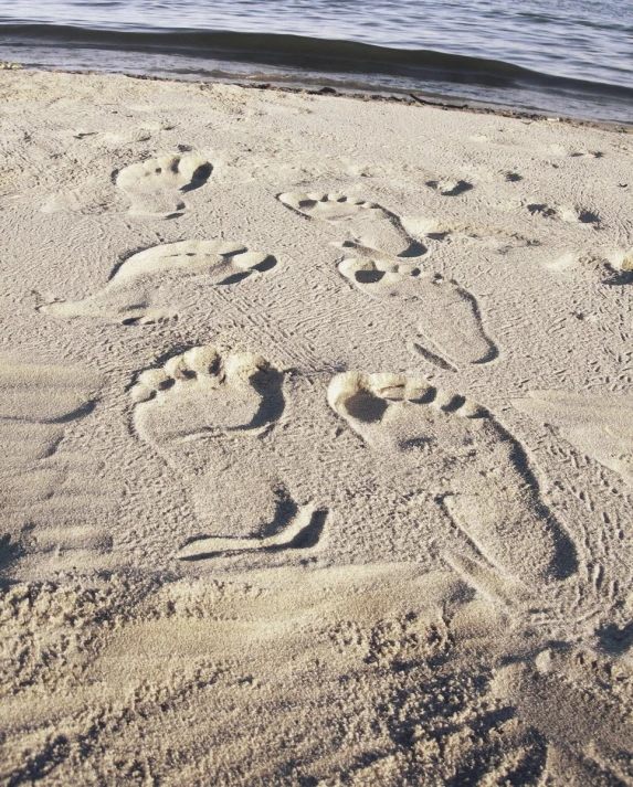 a group of footprints that are written in the sand