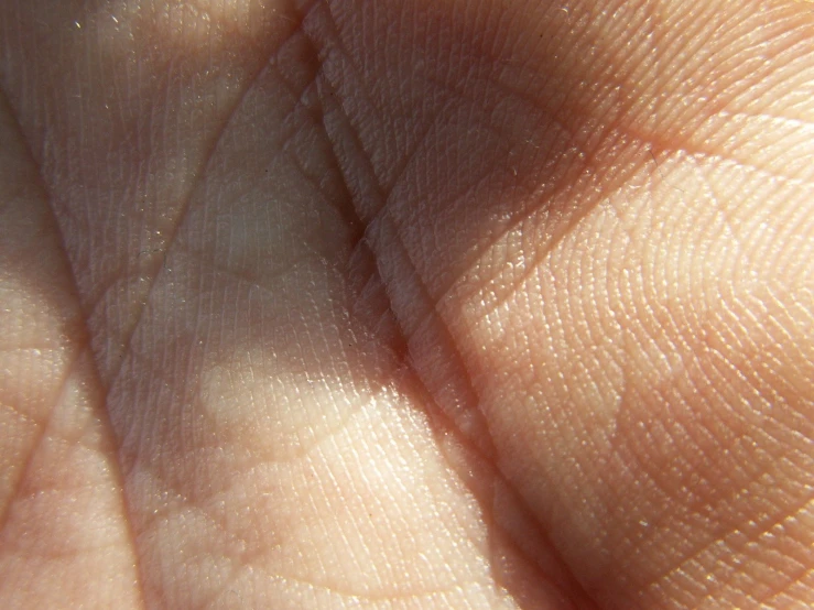 close up picture of a palm's texture as a part of an object