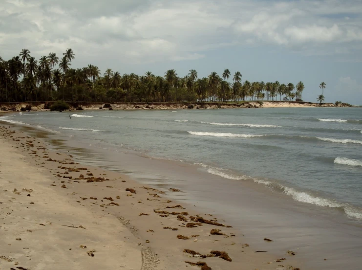 a beach with waves crashing in the water and palm trees in the background