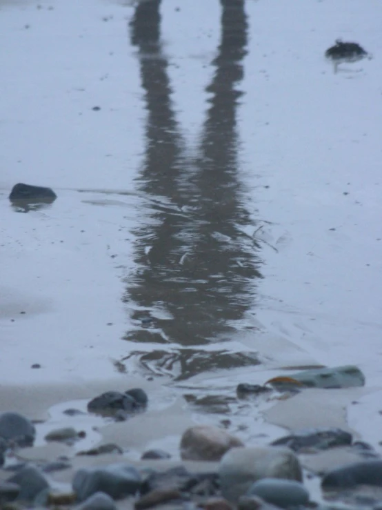 a person standing in the water by a pile of pebbles