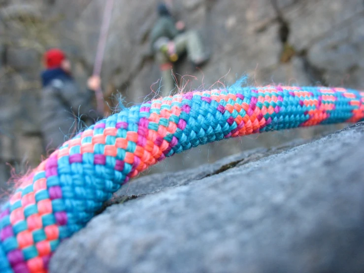 a close up view of soing roped and used on top of a rock
