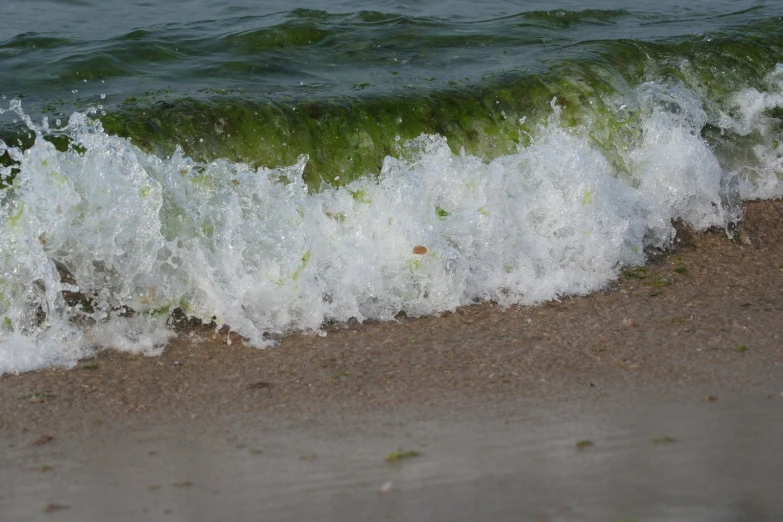 a wave crashes onto a sandy beach