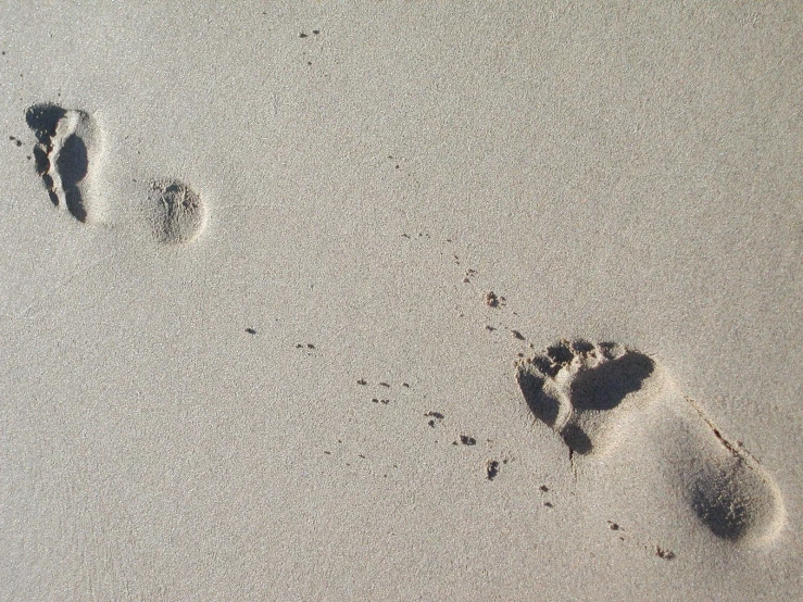 two footprints are seen in the sand on the beach