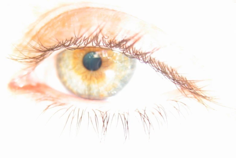 a close up of the upper part of an eye