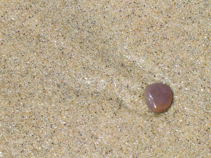 a rock sticking out of the sand on the beach