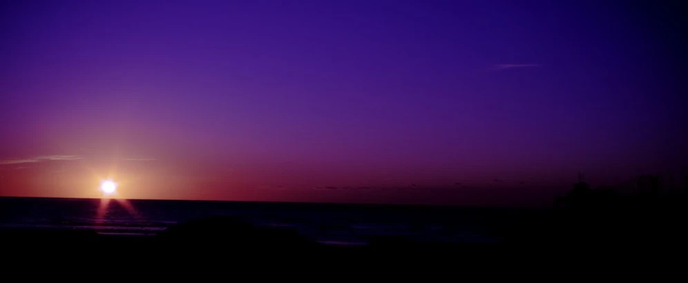 a bird flying at sunset on the ocean