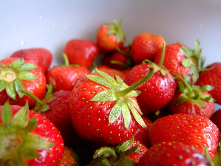 a white bowl full of strawberries with a green leaf