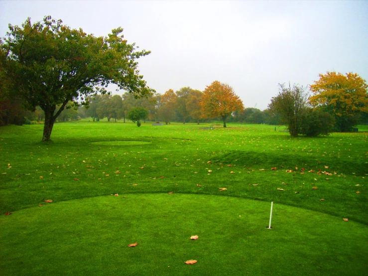 a view of a golf course in a field with trees