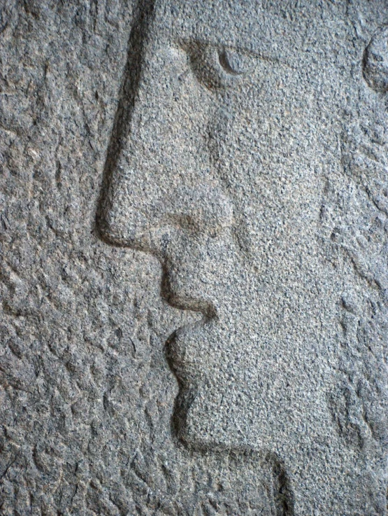 an image of a rock face in the ground