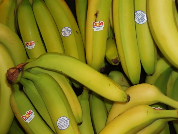 there are bunches of bananas with stickers on them