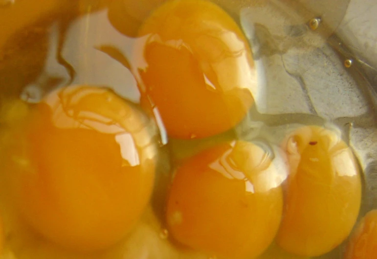 this is a po of the inside of eggs
