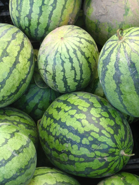 watermelon for sale at an outdoor market