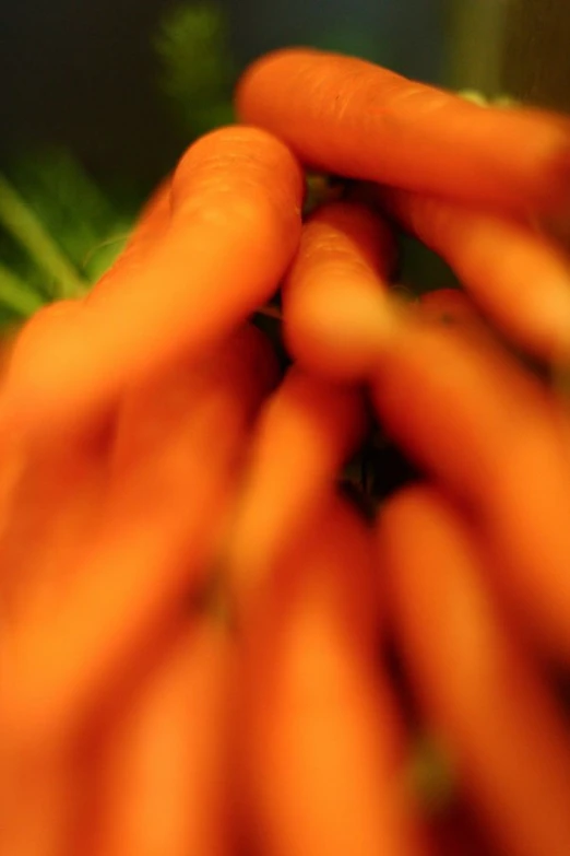 several carrots arranged in a small group together