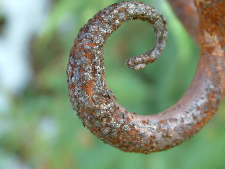 an iron spiral is shown in a closeup