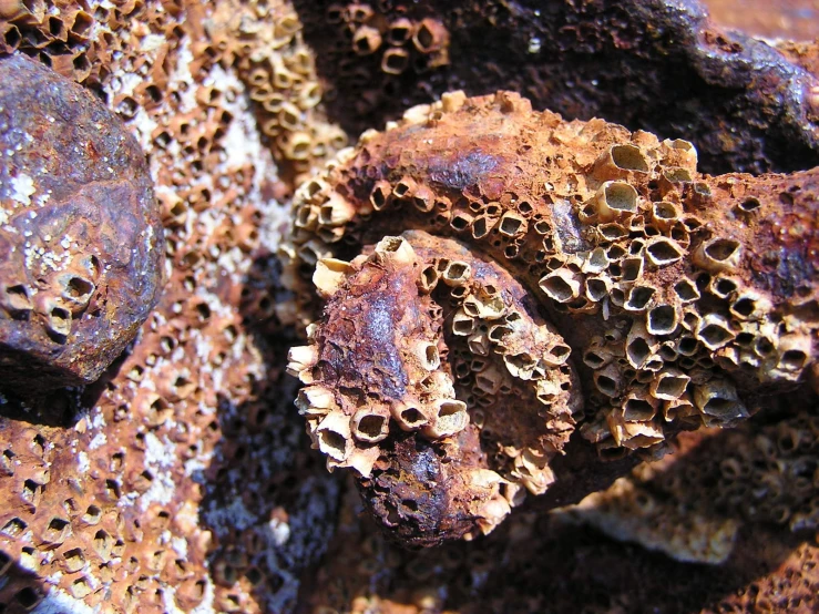 an old rusty surface with tiny bubbles or blampks