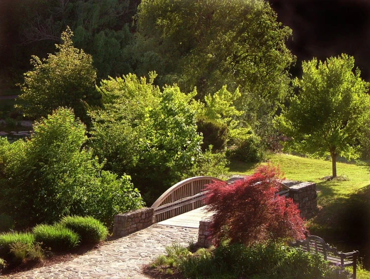 the bridge is next to trees and shrubs