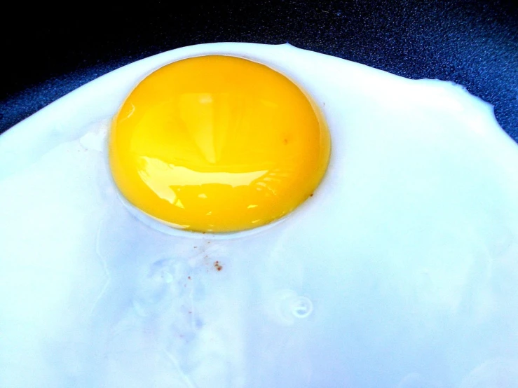 an egg is in a fried eggs shell